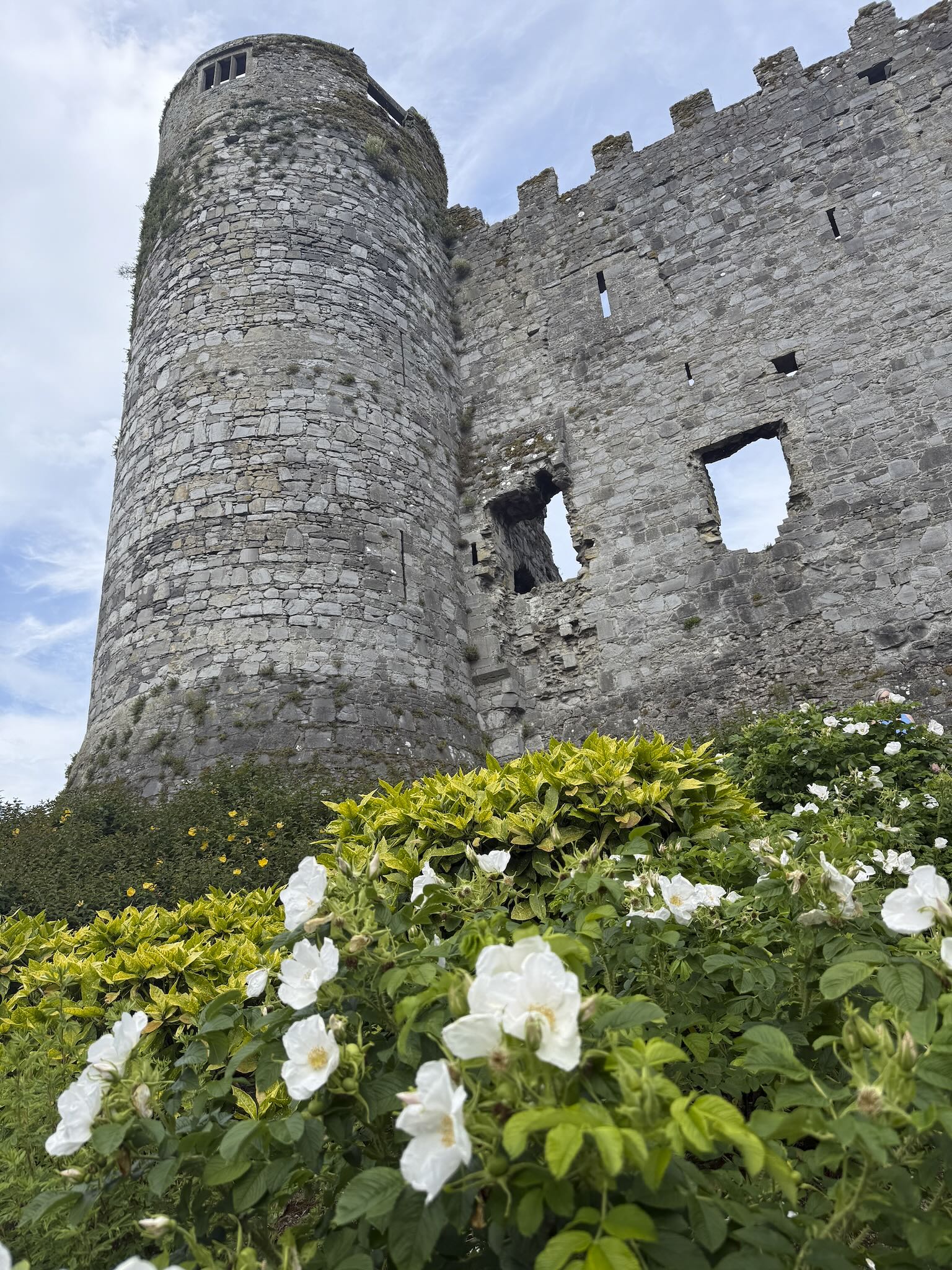 Carlow Castle Tower Remains