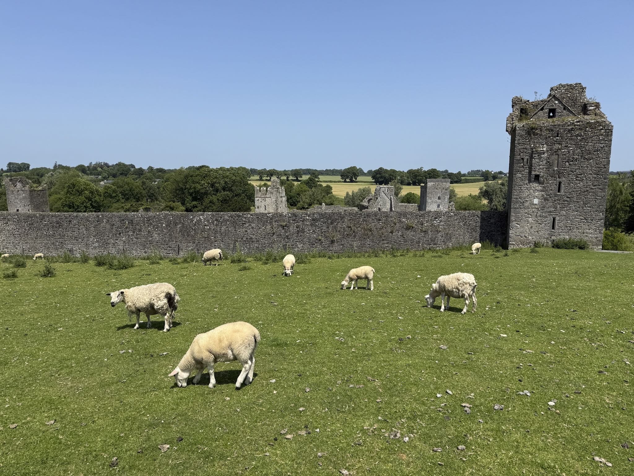 Kells Priory: Fortified Monastic Ruins
